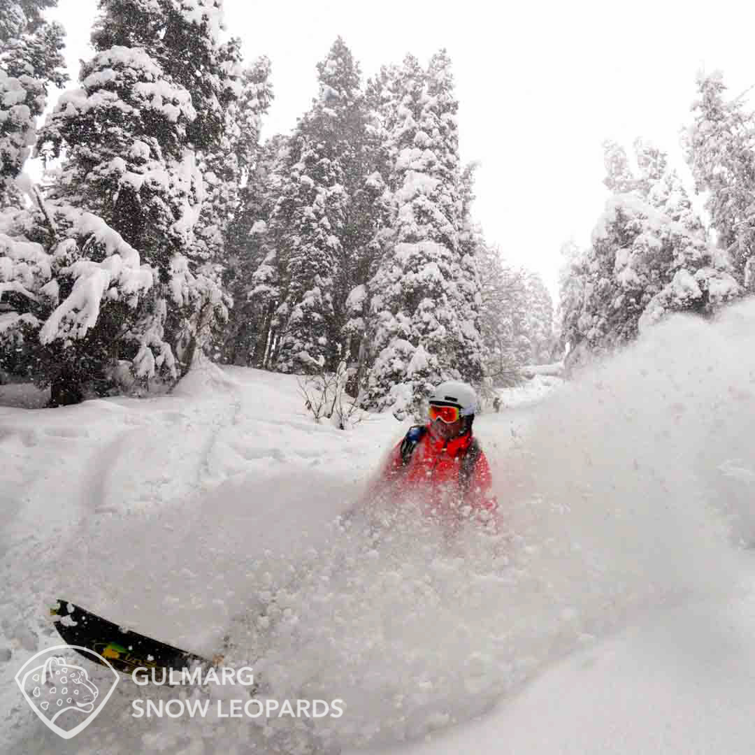 Deep powder runs in Babareshi