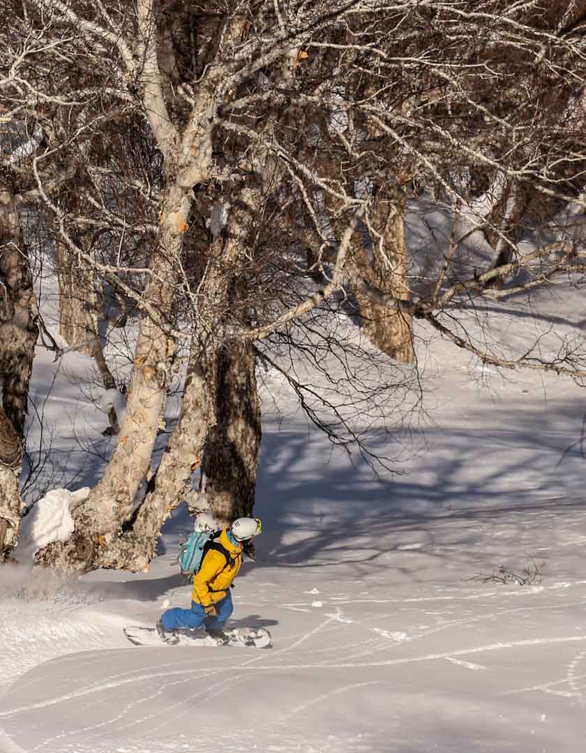 Ski Touring in Gulmarg