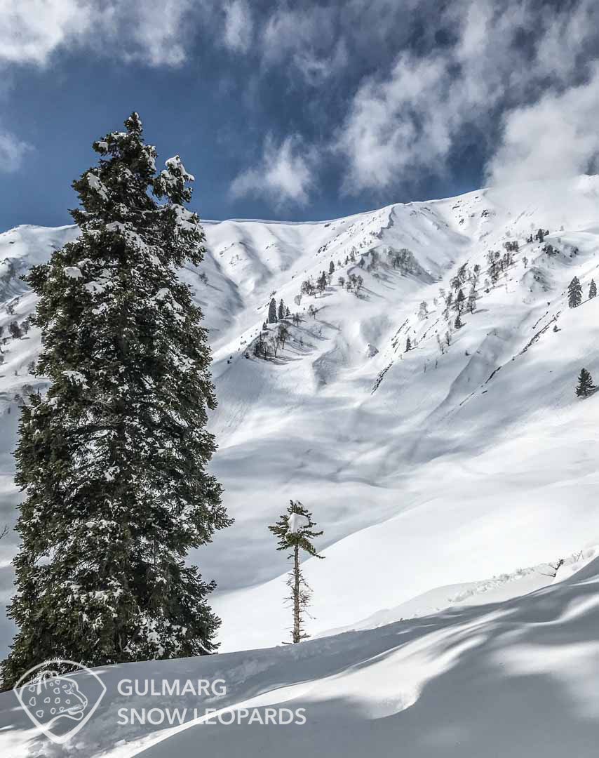 Backcountry ski terrain in Gulmarg