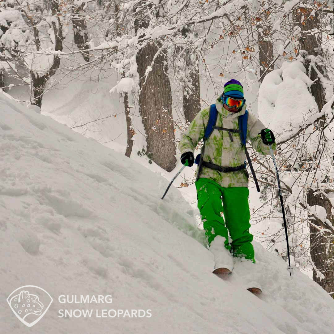 Deep in Babareshi forest. Ski Gulmarg