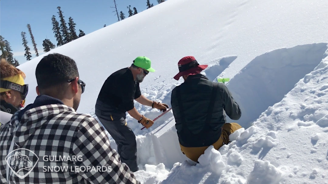 Avalanche Training