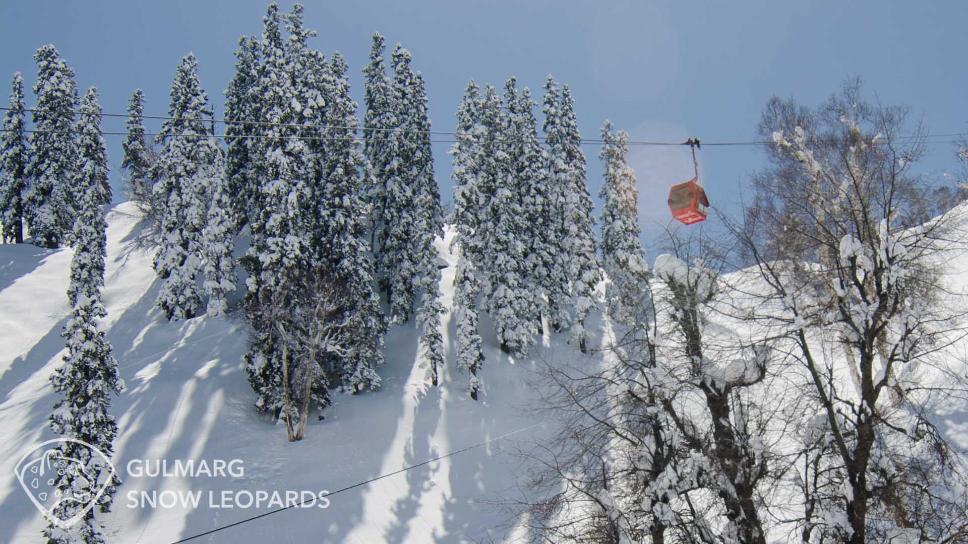 Gulmarg Gondola Mid-Station