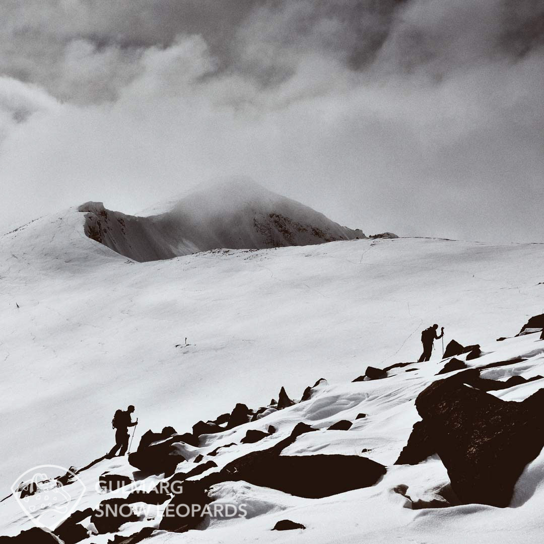 Ski touring in Gulmarg