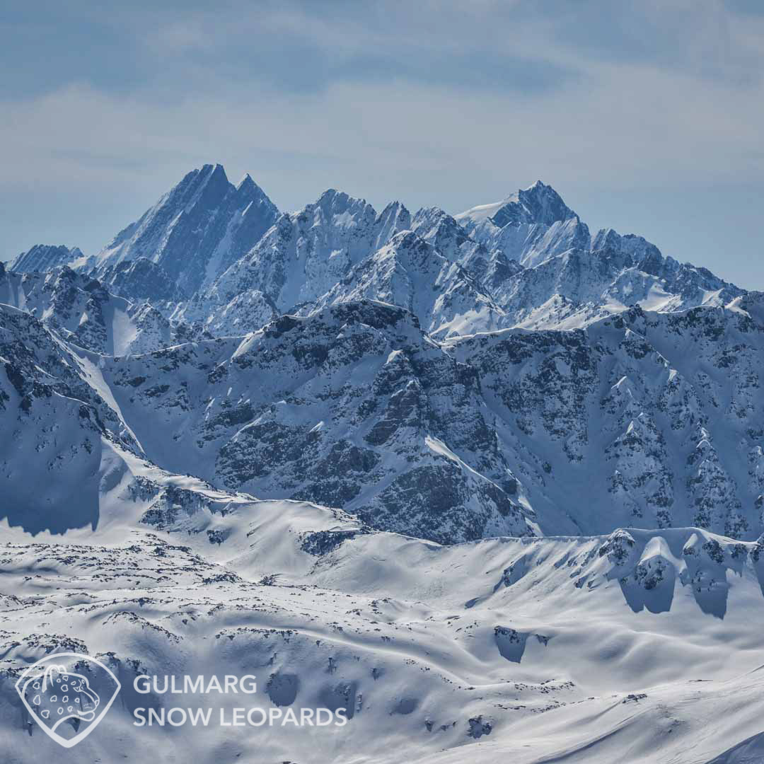 Himalayan views