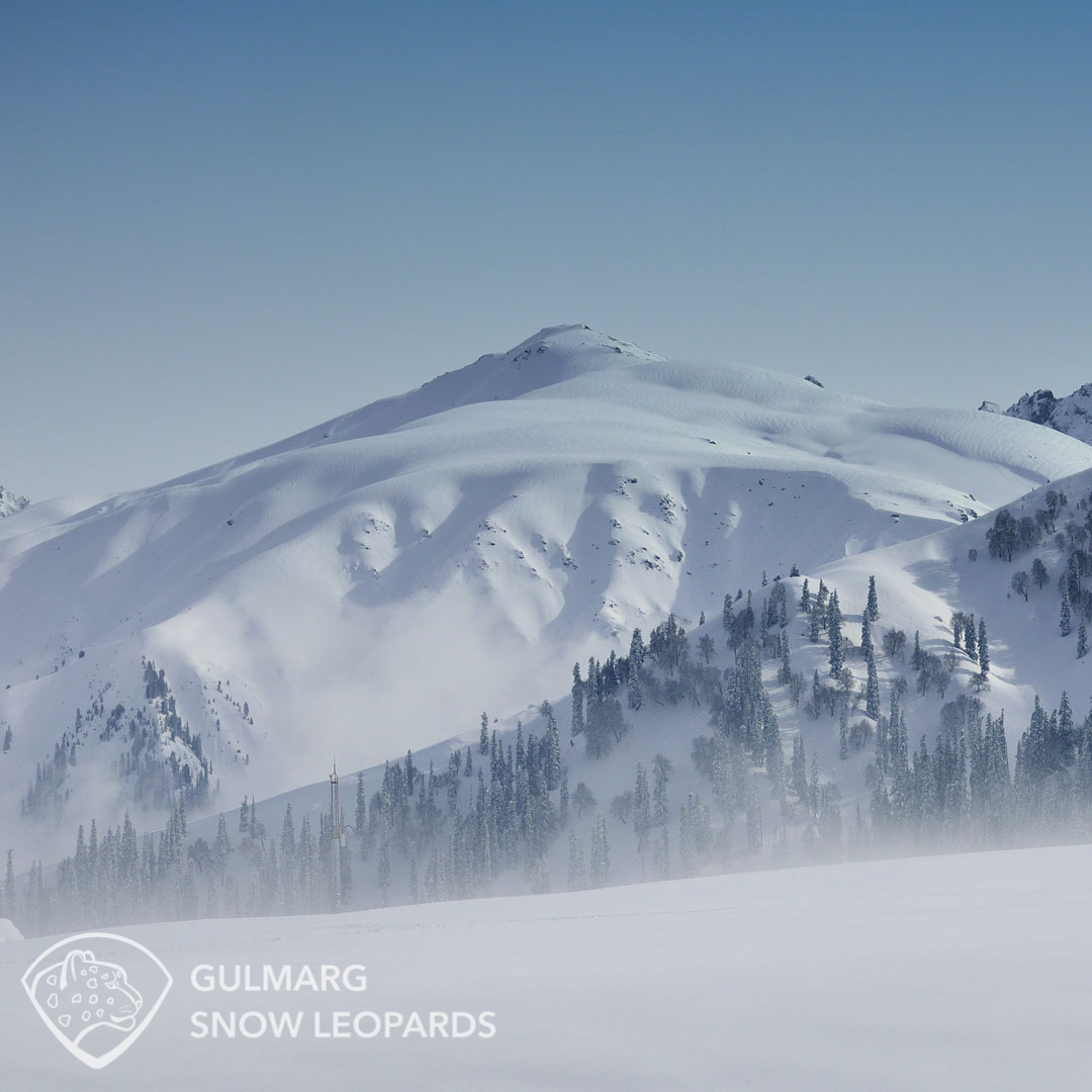 View from Gulmarg Gondola mid-station