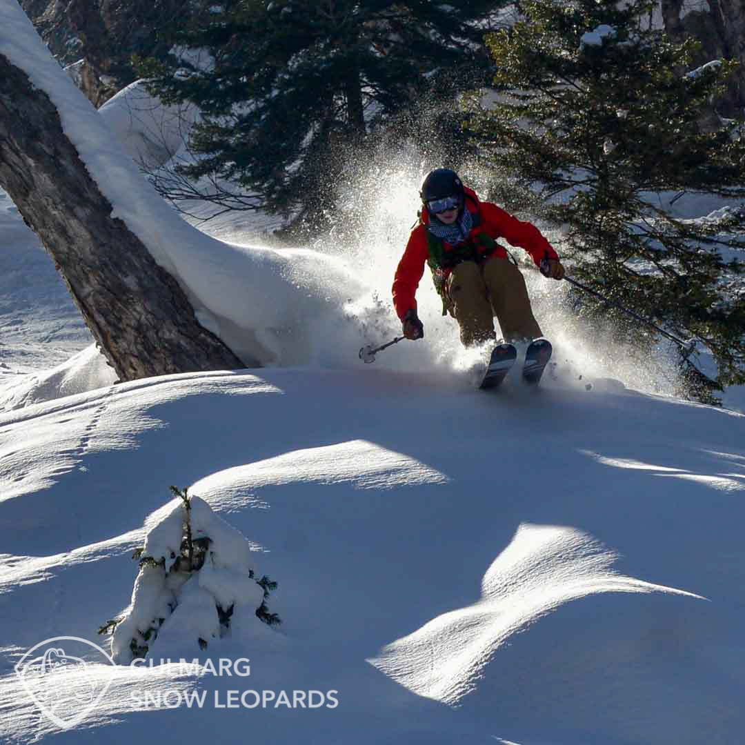 Gulmarg powder skiing