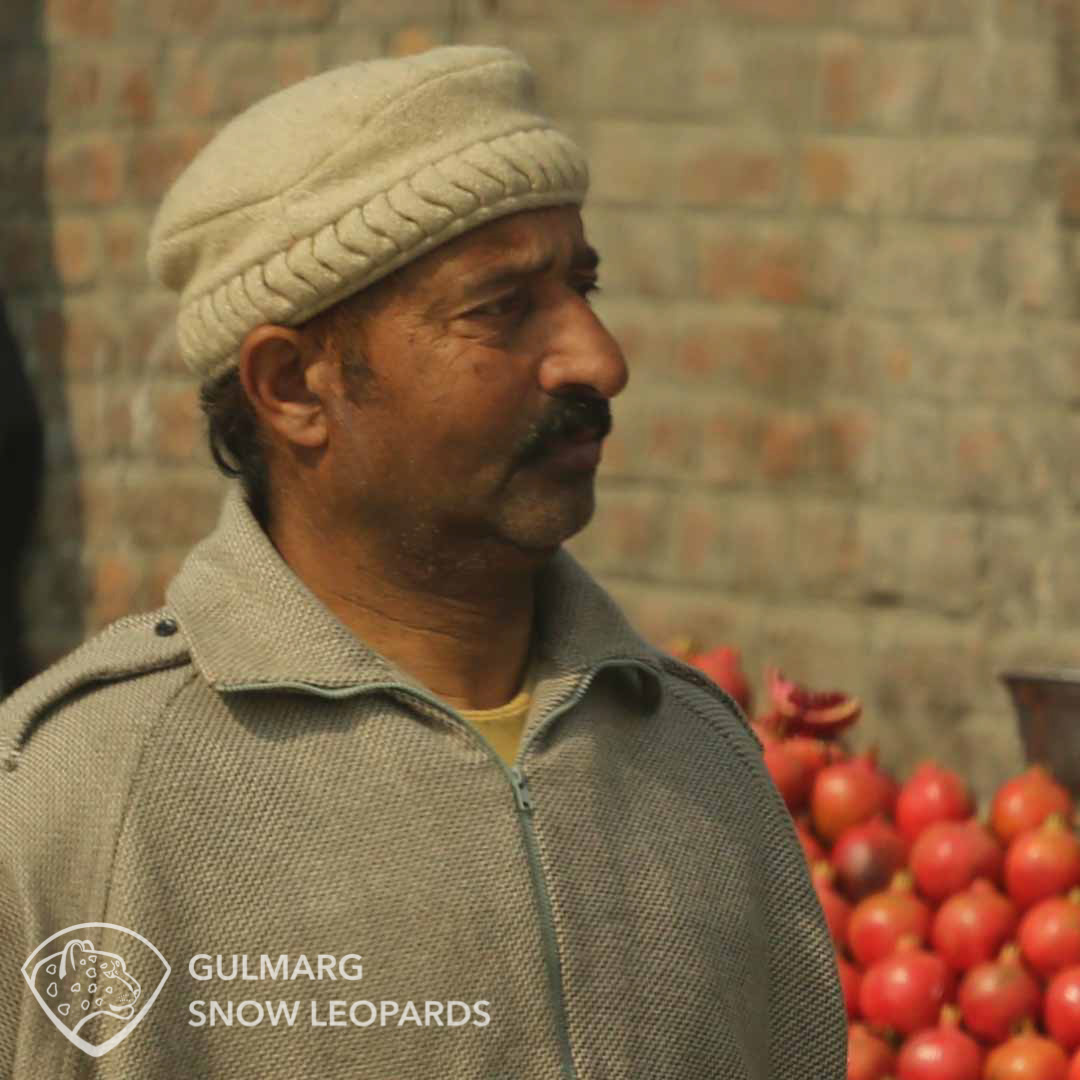 Kashmiri man and pomegranates