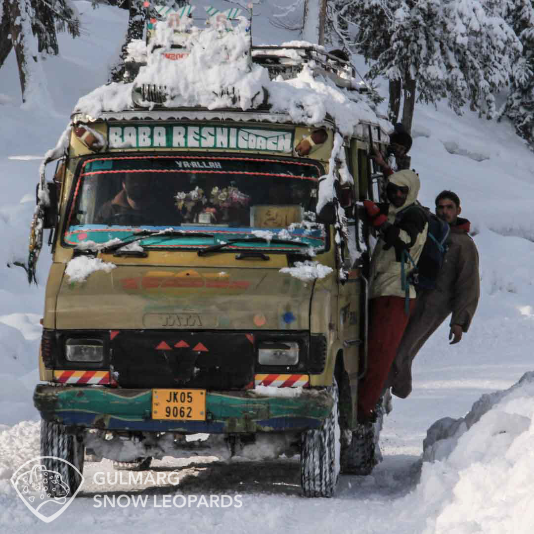 Baba Reshi coach